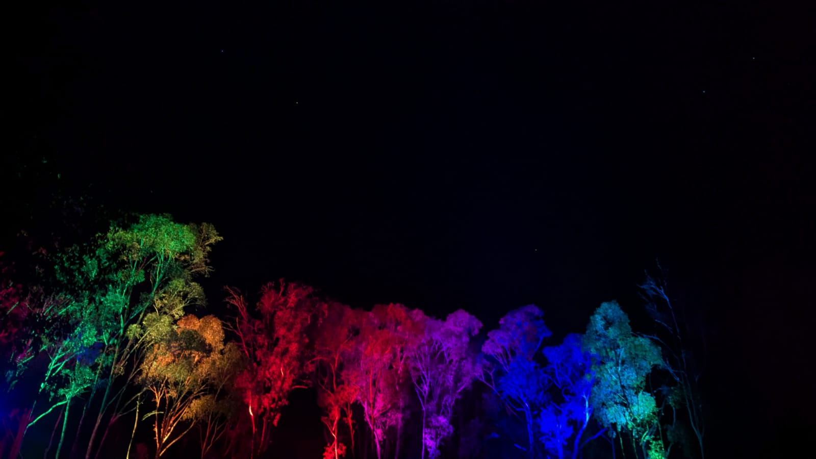 Rave Review from Australian Client | Stunning Outdoor Illumination with Par Cans